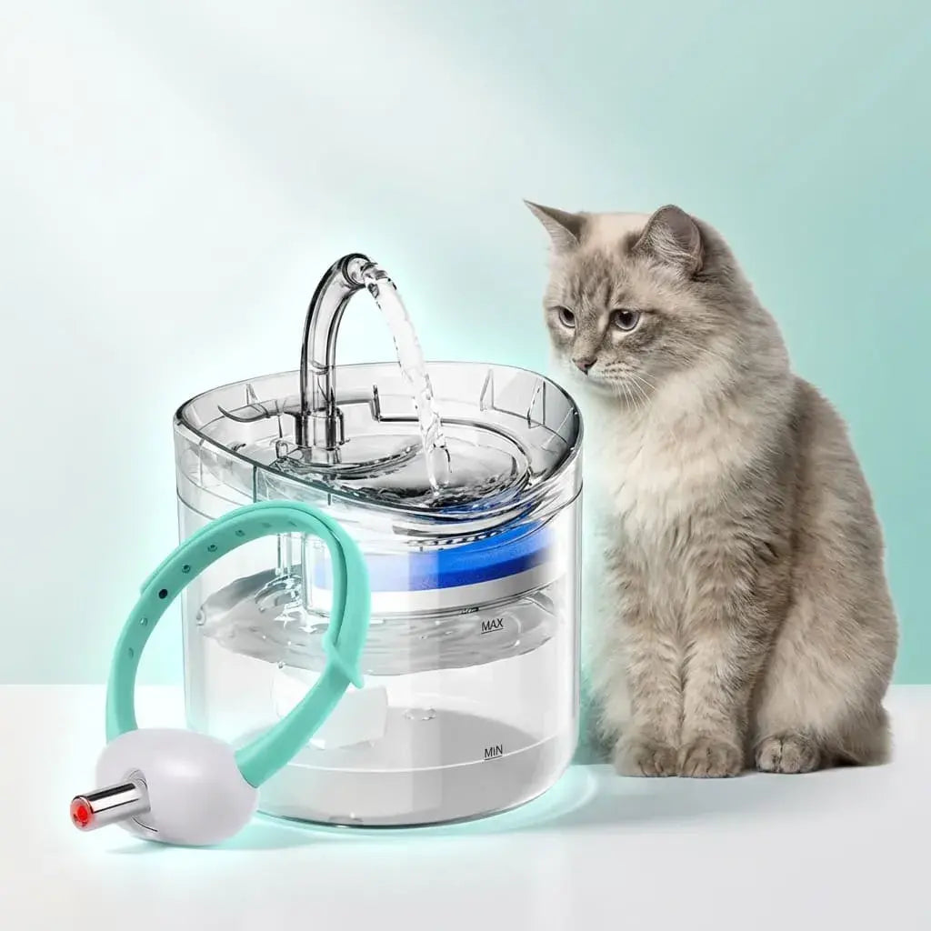 Combo para gatos con láser interactivo y fuente automática transparente que promueve juego activo e hidratación diaria en casa.